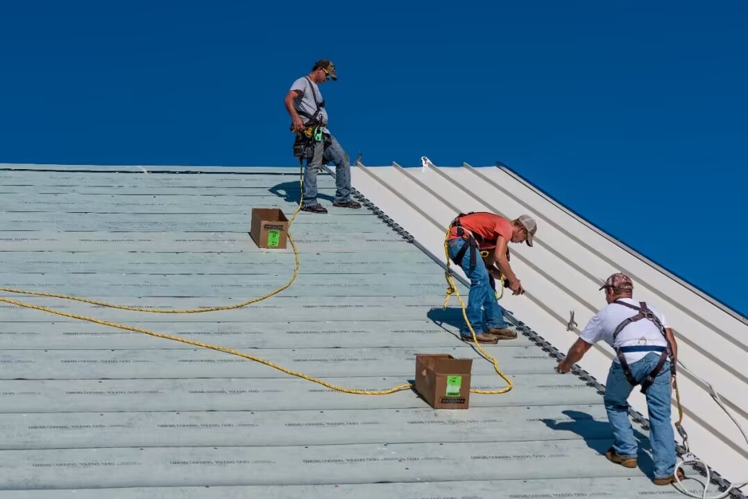 91C0FE35-8250-2676-0ED8-1D3CD22F0A15